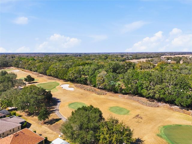 7132 SE 172ND HAZELWOOD LOOP, The Villages, FL 32162