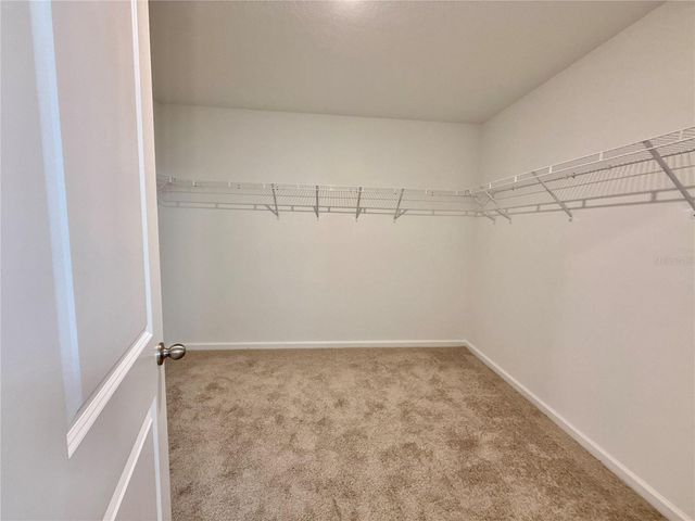 35657 BUTTONWEED, Zephyrhills, FL 33541