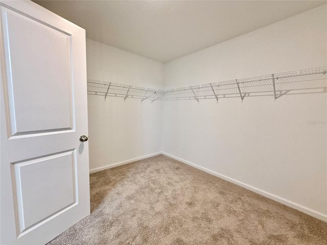 35657 BUTTONWEED, Zephyrhills, FL 33541