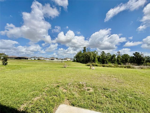 35657 BUTTONWEED, Zephyrhills, FL 33541