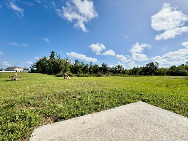 35657 BUTTONWEED, Zephyrhills, FL 33541