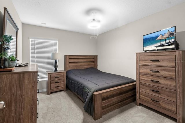 13525 WILLOW BLUESTAR LOOP, Riverview, FL 33579