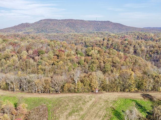 270 Higgins Rd, Woodbury, TN 37190