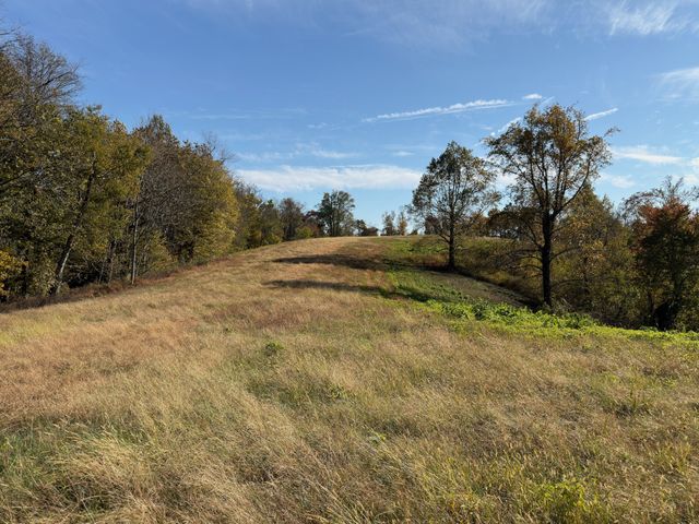 270 Higgins Rd, Woodbury, TN 37190