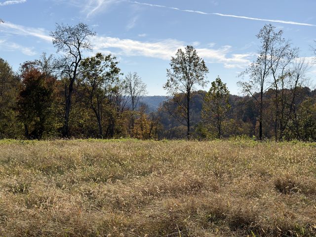 270 Higgins Rd, Woodbury, TN 37190