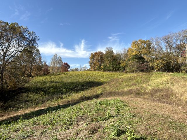 270 Higgins Rd, Woodbury, TN 37190