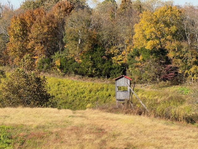 270 Higgins Rd, Woodbury, TN 37190