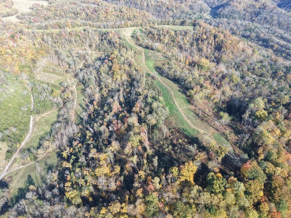 270 Higgins Rd, Woodbury, TN 37190