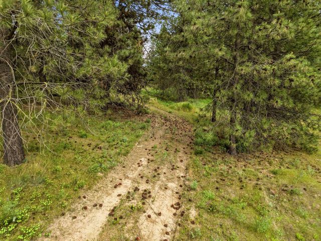6582 Stony Way, Nine Mile Falls, WA 99026