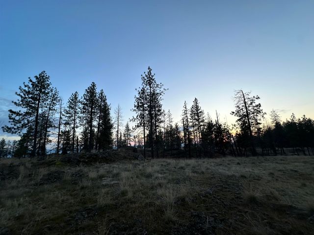 6582 Stony Way, Nine Mile Falls, WA 99026