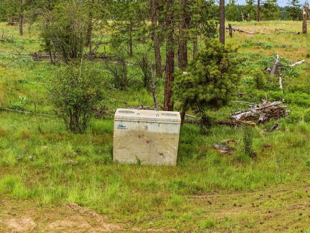 6582 Stony Way, Nine Mile Falls, WA 99026