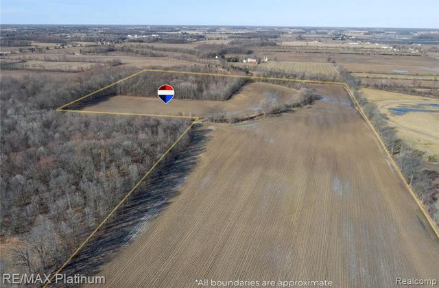 1136 S Nichols Road, Swartz Creek, MI 48473