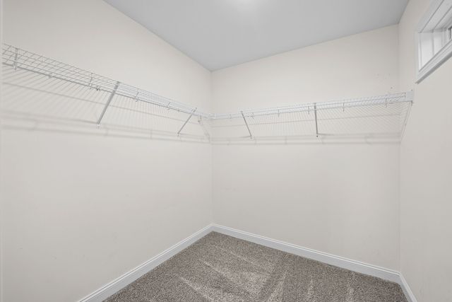 1176 Meadowhill Ln Unit B, Clarksville, TN 37043