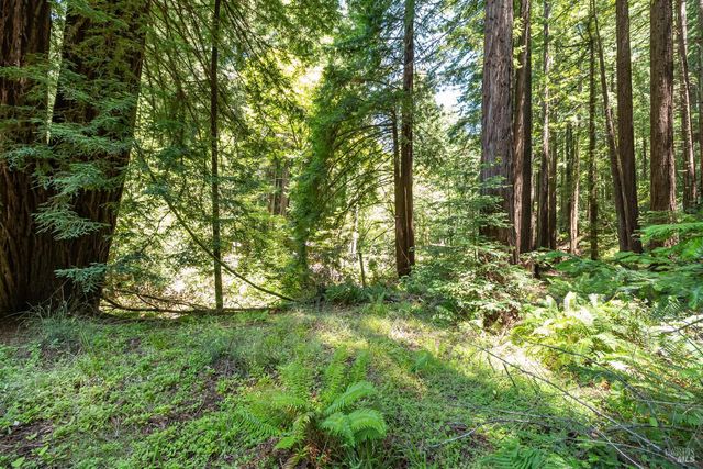 7001 Lucas Valley Rd, Nicasio, CA 94946