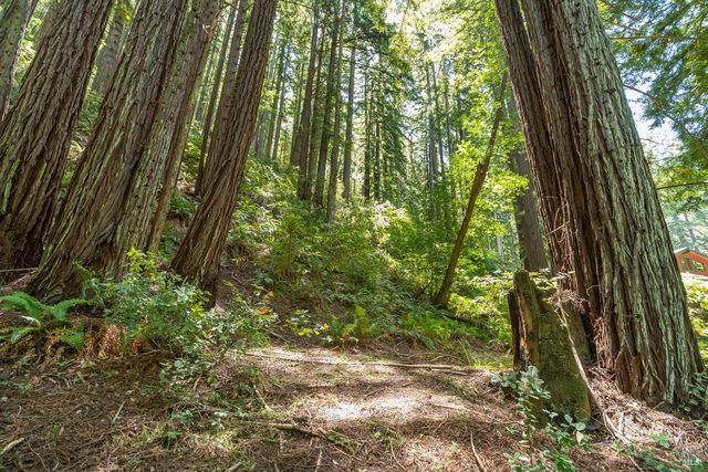 7001 Lucas Valley Rd, Nicasio, CA 94946