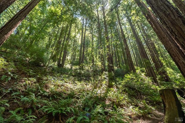 7001 Lucas Valley Rd, Nicasio, CA 94946