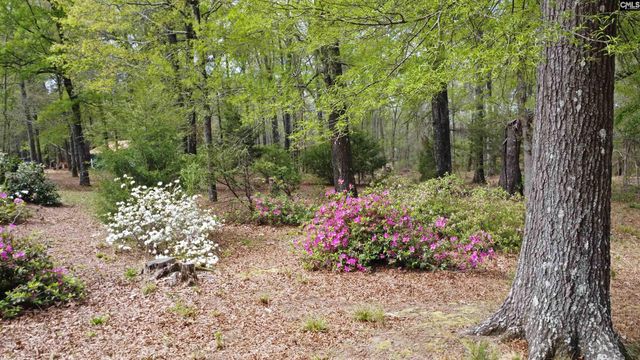 418 Gin Branch Circle, Leesville, SC 29070