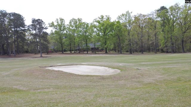 418 Gin Branch Circle, Leesville, SC 29070