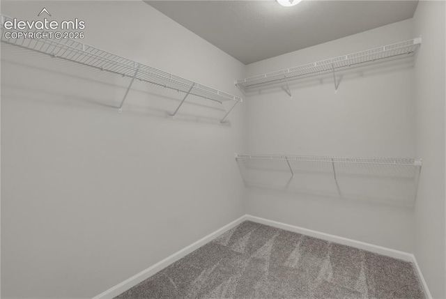 2093 Birmingham Loop, Colorado Springs, CO 80910