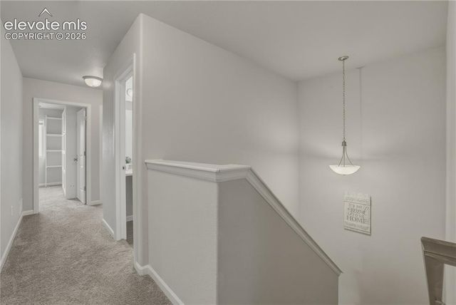 2093 Birmingham Loop, Colorado Springs, CO 80910
