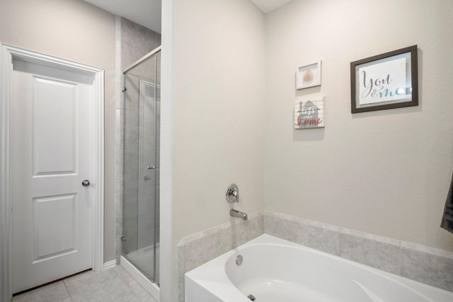 29522 Whitebrush Trace Drive, Spring, TX 77386