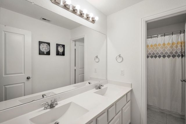 29522 Whitebrush Trace Drive, Spring, TX 77386