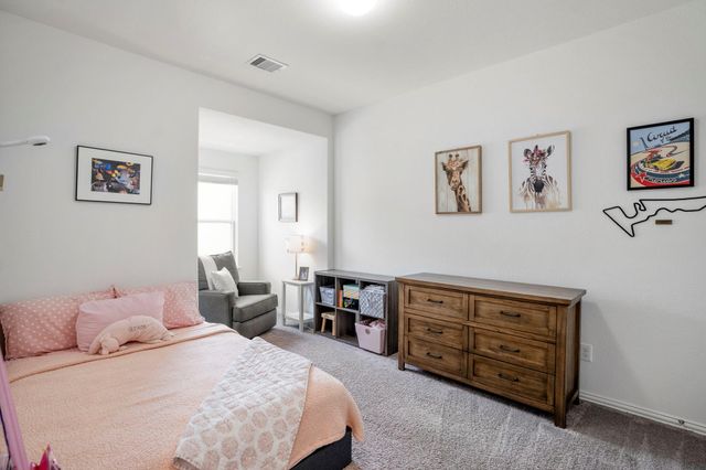 29522 Whitebrush Trace Drive, Spring, TX 77386