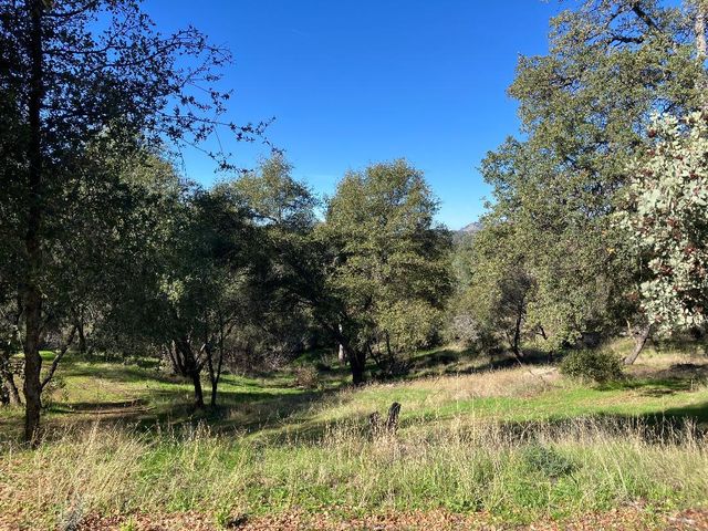 46725 Picayune Creek Road, Coarsegold, CA 93614