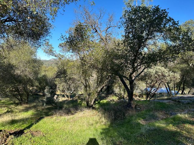 46725 Picayune Creek Road, Coarsegold, CA 93614