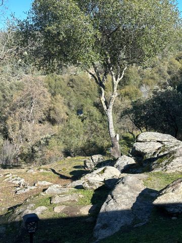 46725 Picayune Creek Road, Coarsegold, CA 93614