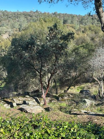 46725 Picayune Creek Road, Coarsegold, CA 93614