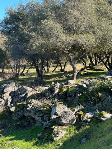 46725 Picayune Creek Road, Coarsegold, CA 93614