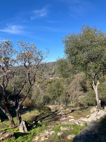 46725 Picayune Creek Road, Coarsegold, CA 93614