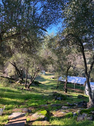 46725 Picayune Creek Road, Coarsegold, CA 93614