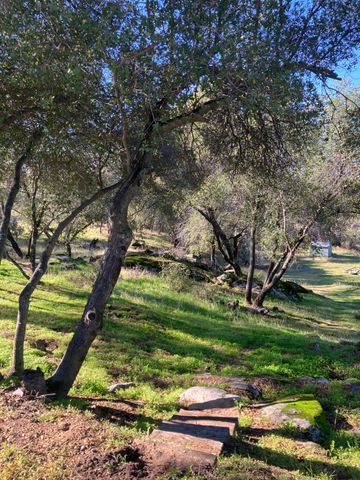 46725 Picayune Creek Road, Coarsegold, CA 93614