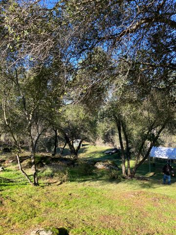 46725 Picayune Creek Road, Coarsegold, CA 93614