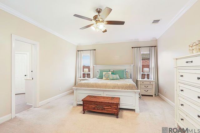 41131 Lakeway Cove Ave, Gonzales, LA 70737