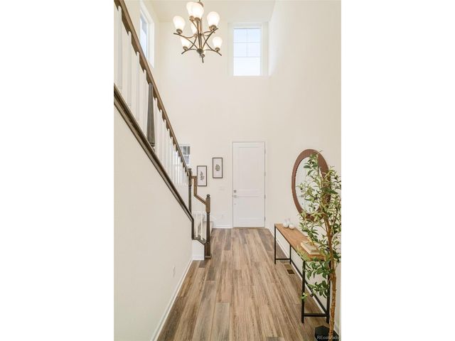 98 Simmental Loop, Castle Rock, CO 80104