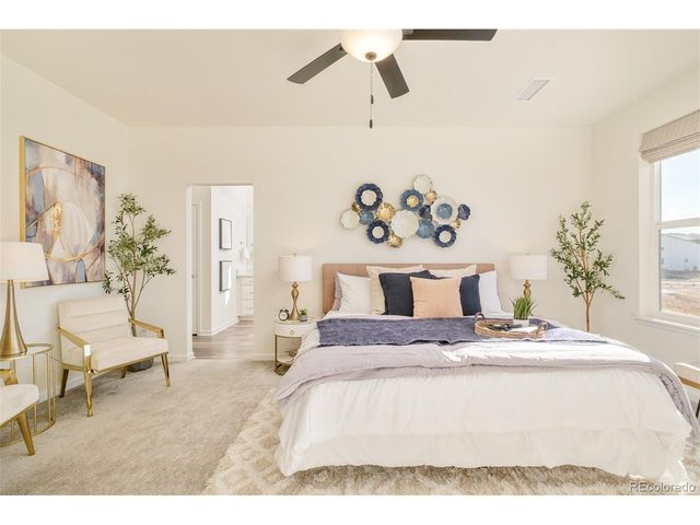 98 Simmental Loop, Castle Rock, CO 80104