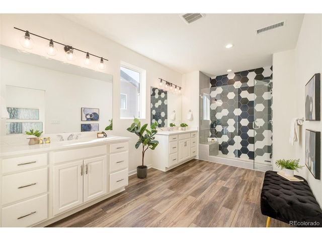 98 Simmental Loop, Castle Rock, CO 80104