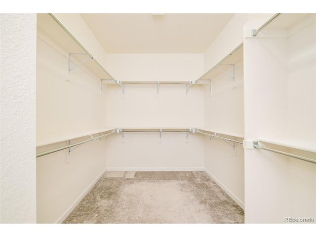 98 Simmental Loop, Castle Rock, CO 80104