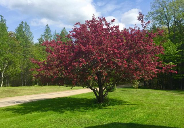 35 Pinnacle Ridge Road, Meredith, NH 03253