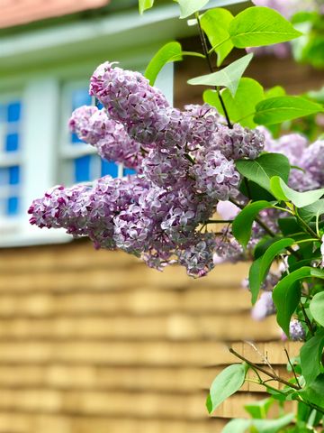 35 Pinnacle Ridge Road, Meredith, NH 03253