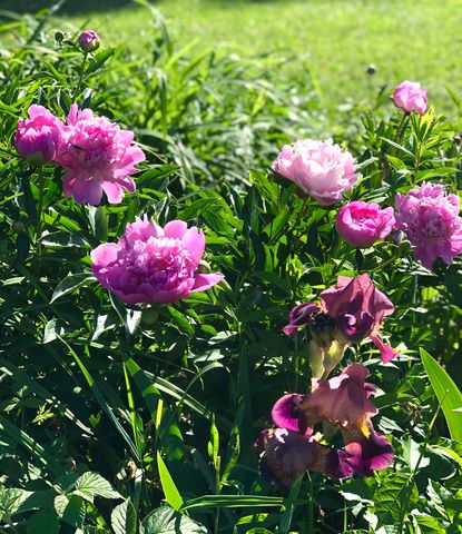 35 Pinnacle Ridge Road, Meredith, NH 03253