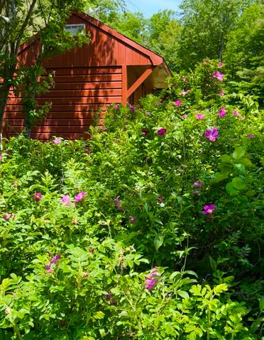 35 Pinnacle Ridge Road, Meredith, NH 03253