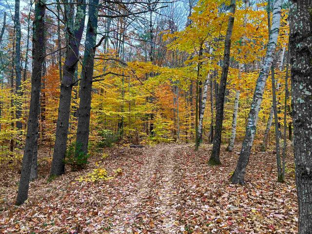 35 Pinnacle Ridge Road, Meredith, NH 03253