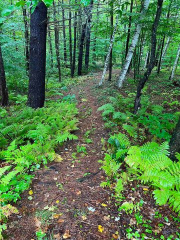 35 Pinnacle Ridge Road, Meredith, NH 03253