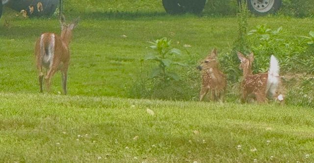 35 Pinnacle Ridge Road, Meredith, NH 03253