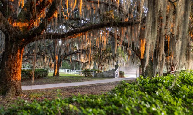 1451 River Road, Yemassee, SC 29945