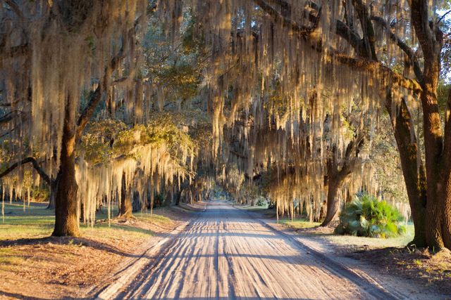 1451 River Road, Yemassee, SC 29945